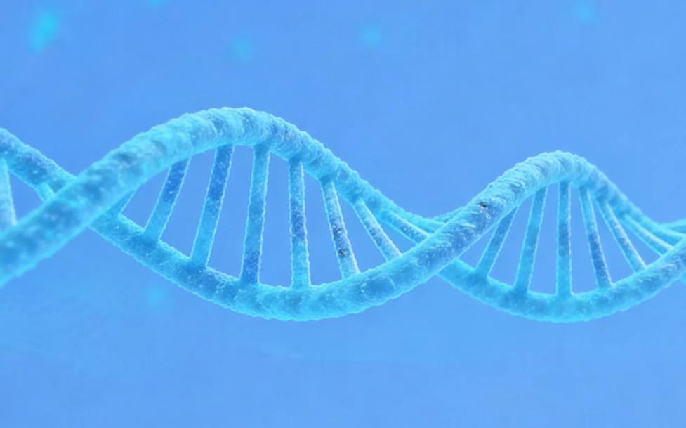 畸变中期相捕获